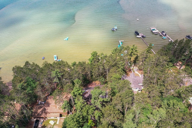 117 Timber Trl, Roscommon, MI 48653 - bird's eye view of a large body of water