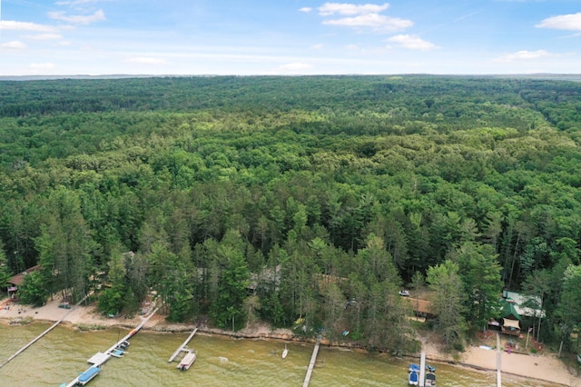 117 Timber Trl, Roscommon, MI 48653 - aerial view of property's location with a forest