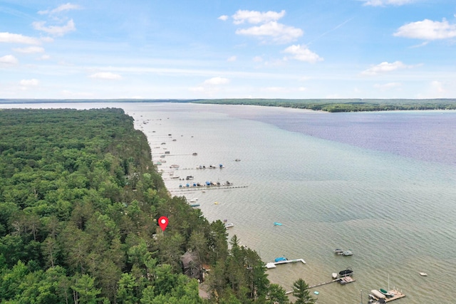 117 Timber Trl, Roscommon, MI 48653 - water view