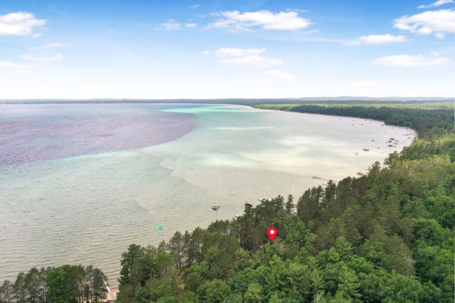117 Timber Trl, Roscommon, MI 48653 - bird's eye view of a nearby body of water and a forest