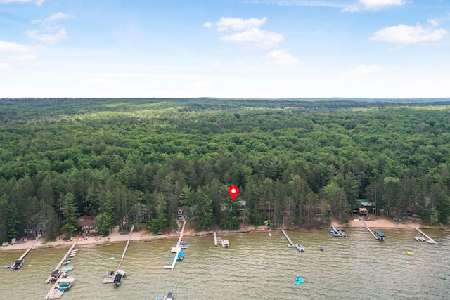 117 Timber Trl, Roscommon, MI 48653 - drone / aerial view of a forest and a nearby body of water