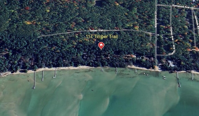 117 Timber Trl, Roscommon, MI 48653 - aerial view of property's location