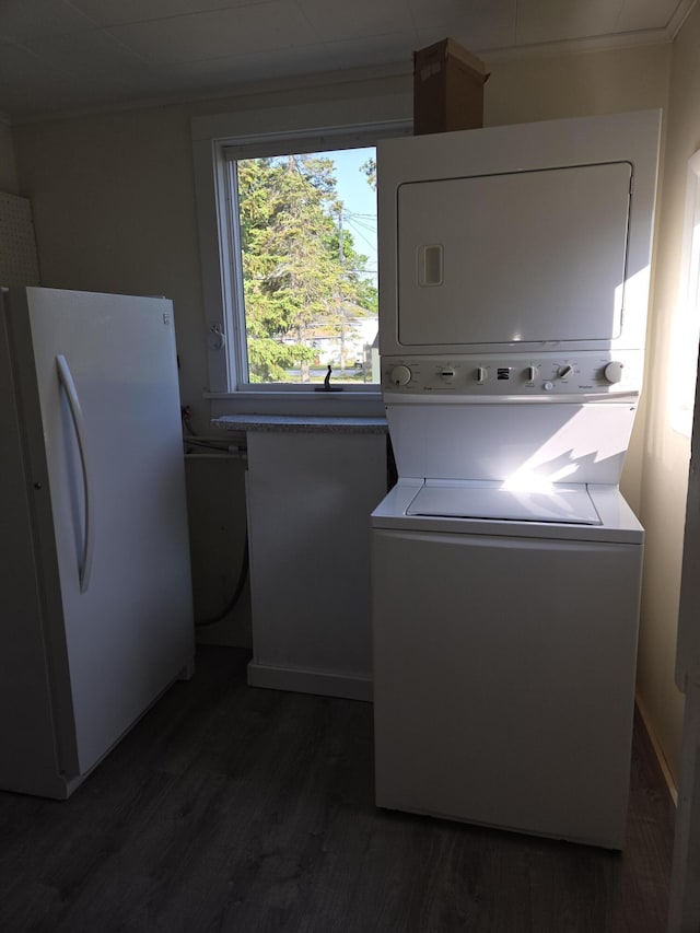 208 S S D St, Cheboygan, MI 49721 - washroom with stacked washer and clothes dryer, dark wood-type flooring, and ornamental molding