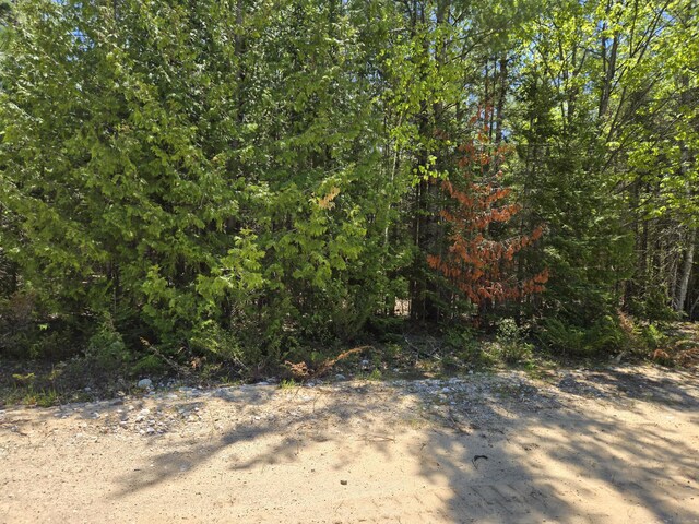 LOT365 Balsam Dr, Presque Isle, MI 49777 - photo 4
