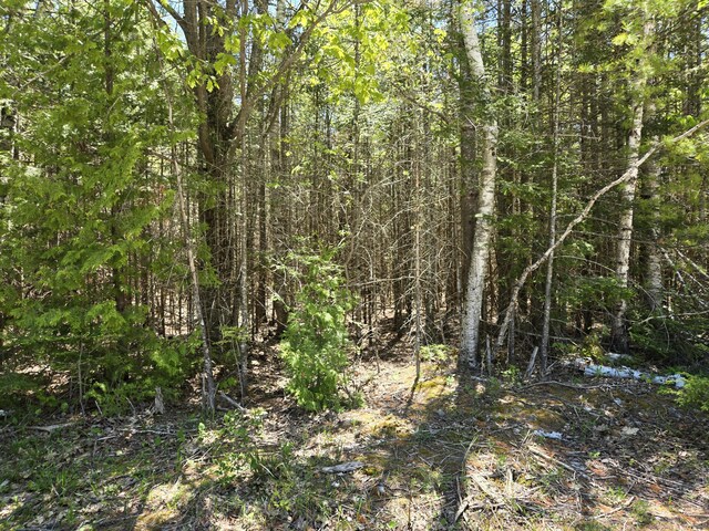LOT365 Balsam Dr, Presque Isle, MI 49777 - photo 5