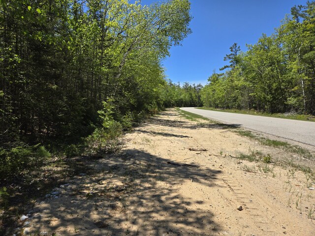LOT365 Balsam Dr, Presque Isle, MI 49777 - photo 6