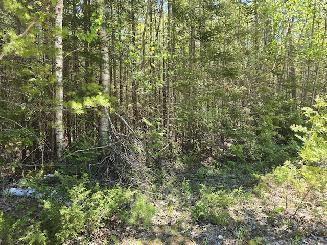 LOT365 Balsam Dr, Presque Isle, MI 49777 - photo 7