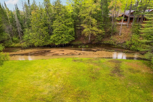 2635 Ram Nek Ranch Rd, Frederic, MI 49733 - photo 37