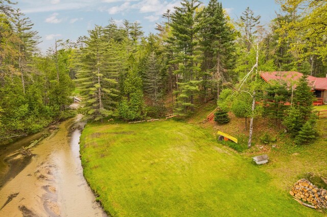 2635 Ram Nek Ranch Rd, Frederic, MI 49733 - photo 36