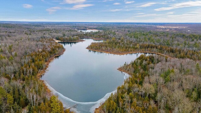 2635 Ram Nek Ranch Rd, Frederic, MI 49733 - photo 53