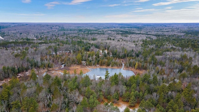 2635 Ram Nek Ranch Rd, Frederic, MI 49733 - photo 54