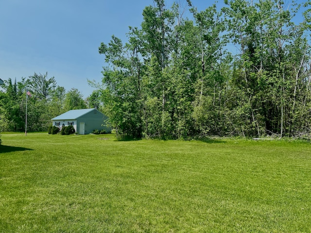1745 Mullett Lake Woods Rd, Cheboygan, MI 49721 - view of grassy yard