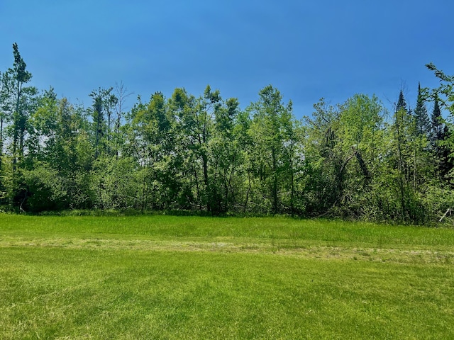 1745 Mullett Lake Woods Rd, Cheboygan, MI 49721 - view of green lawn