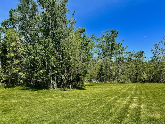 1745 Mullett Lake Woods Rd, Cheboygan, MI 49721 - view of green lawn featuring a view of trees