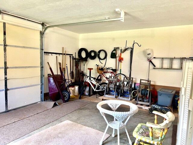 1745 Mullett Lake Woods Rd, Cheboygan, MI 49721 - view of garage