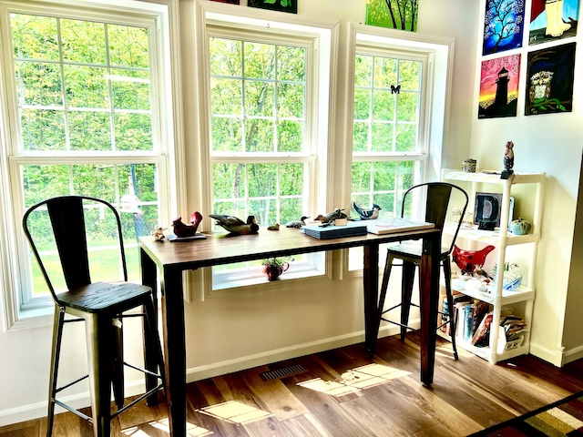 1745 Mullett Lake Woods Rd, Cheboygan, MI 49721 - office with wood finished floors, baseboards, and healthy amount of natural light