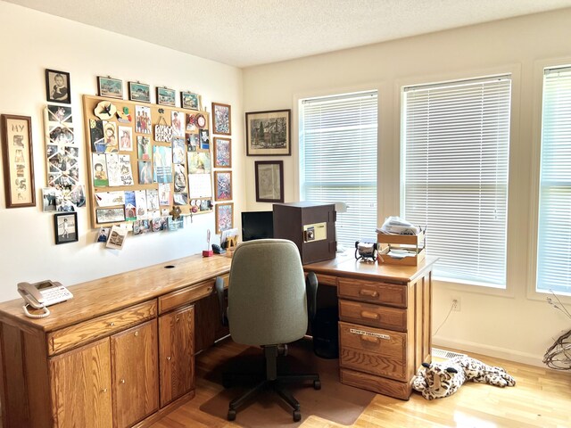 1745 Mullett Lake Woods Rd, Cheboygan, MI 49721 - office space featuring light wood-type flooring, plenty of natural light, and a textured ceiling