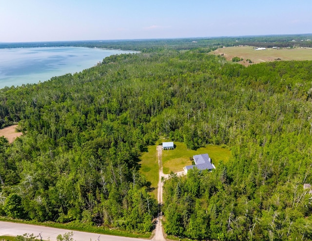 1745 Mullett Lake Woods Rd, Cheboygan, MI 49721 - drone / aerial view of a forest and a large body of water