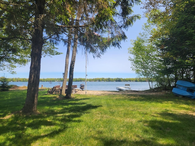 4775 W Cedar Lake Rd, Greenbush, MI 48738 - photo 9