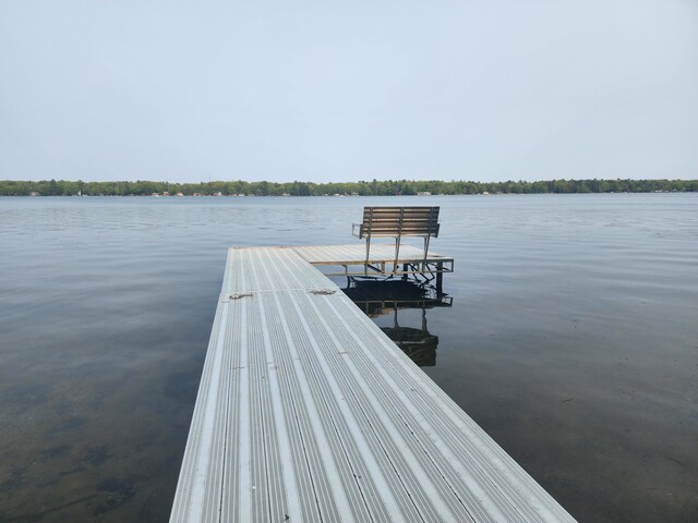 4775 W Cedar Lake Rd, Greenbush, MI 48738 - photo 11