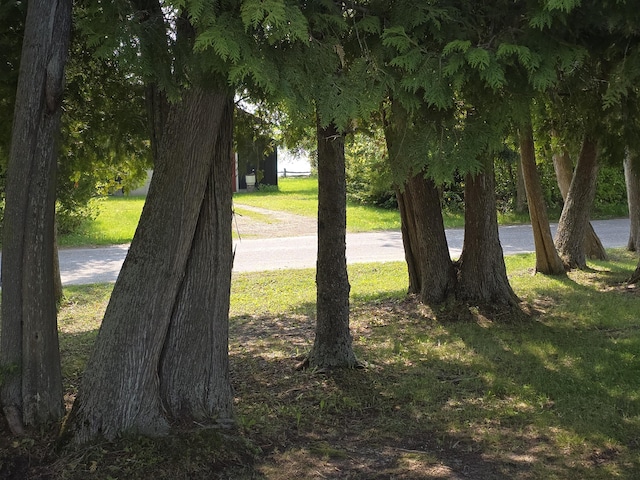 106 Hazel St, Saint Ignace, MI 49781 - view of green lawn