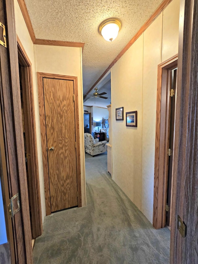 106 Hazel St, Saint Ignace, MI 49781 - hall featuring carpet, ornamental molding, and a textured ceiling