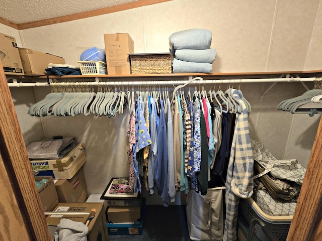 106 Hazel St, Saint Ignace, MI 49781 - view of walk in closet