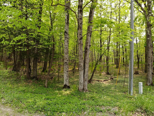 5945 Lodgepole Rd, Harbor Springs, MI 49740