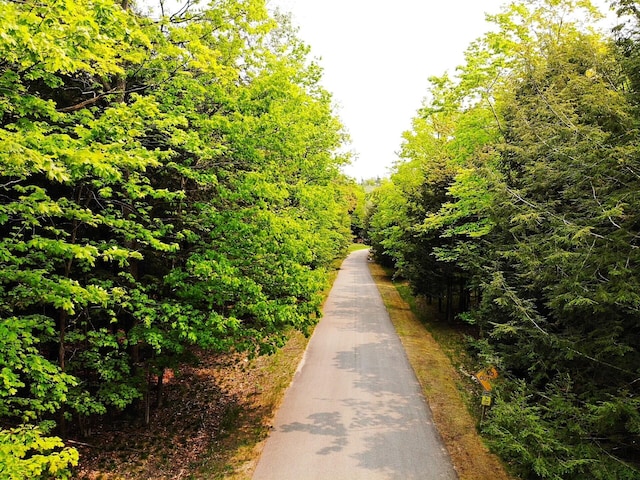 5945 Lodgepole Rd, Harbor Springs, MI 49740
