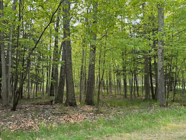 5945 Lodgepole Rd, Harbor Springs, MI 49740