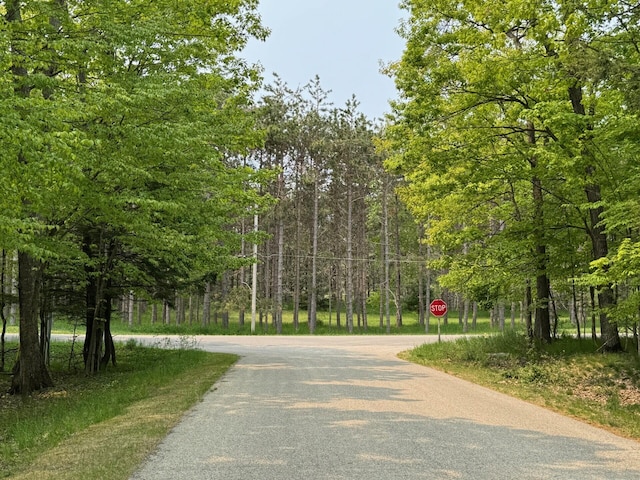 5945 Lodgepole Rd, Harbor Springs, MI 49740