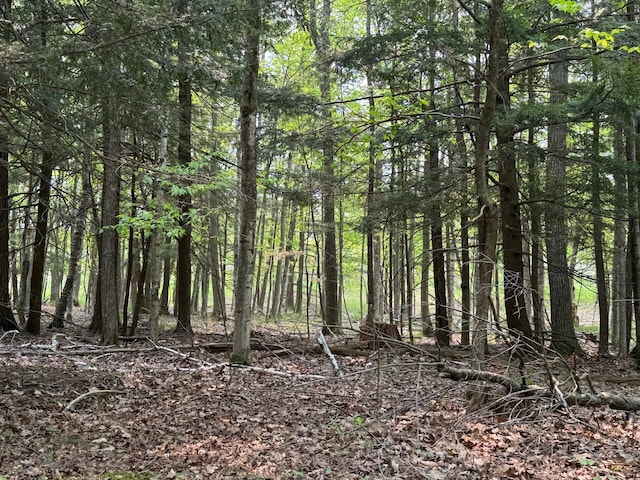 5945 Lodgepole Rd, Harbor Springs, MI 49740