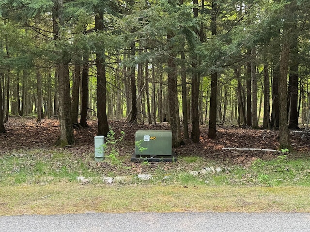 5945 Lodgepole Rd, Harbor Springs, MI 49740