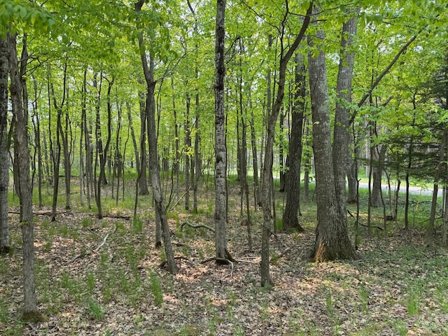 5945 Lodgepole Rd, Harbor Springs, MI 49740