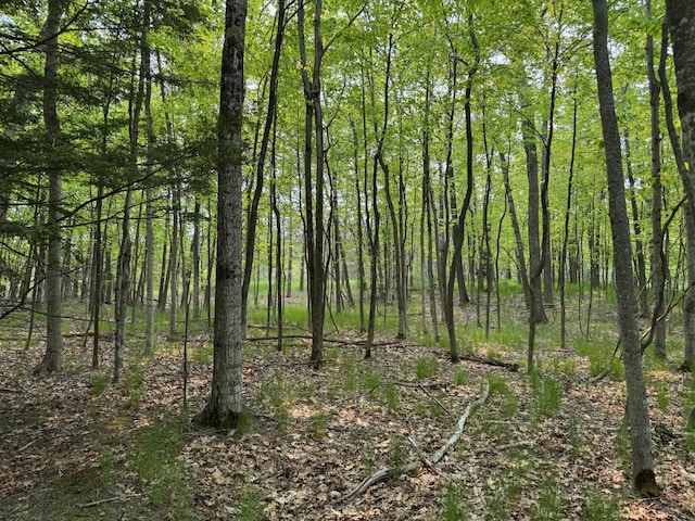 5945 Lodgepole Rd, Harbor Springs, MI 49740