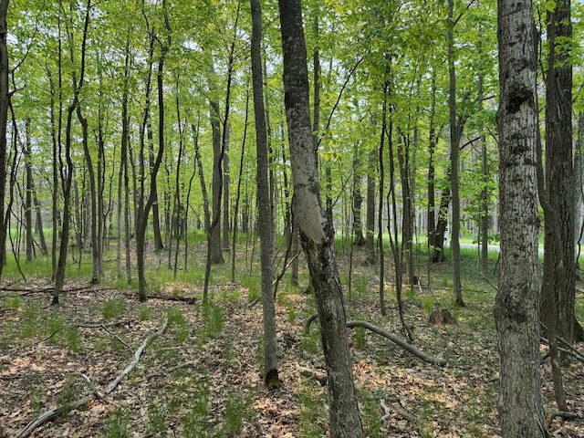 5945 Lodgepole Rd, Harbor Springs, MI 49740