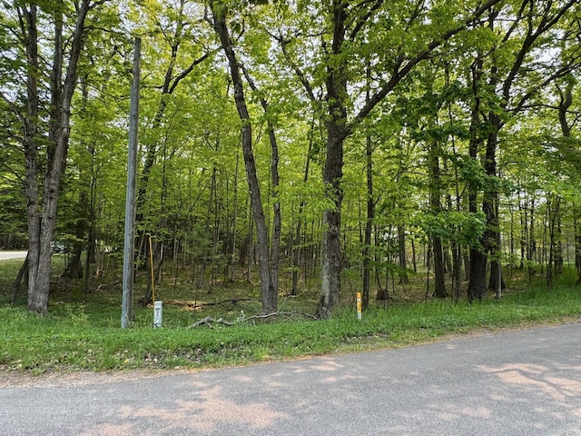 5945 Lodgepole Rd, Harbor Springs, MI 49740