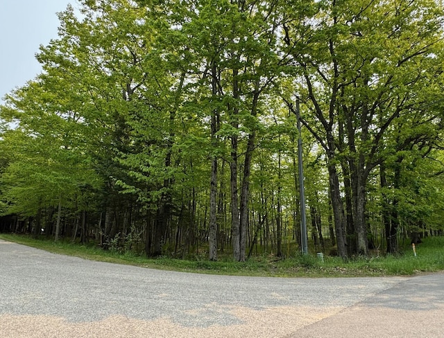 5945 Lodgepole Rd, Harbor Springs, MI 49740