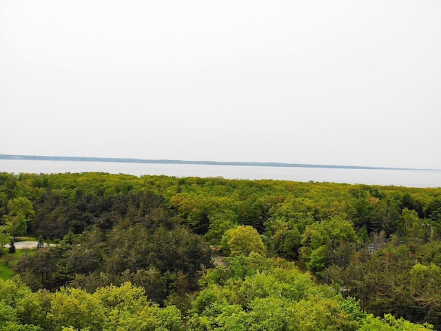 5945 Lodgepole Rd, Harbor Springs, MI 49740