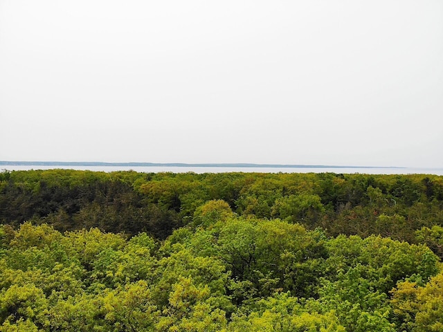 5945 Lodgepole Rd, Harbor Springs, MI 49740