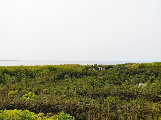 5945 Lodgepole Rd, Harbor Springs, MI 49740