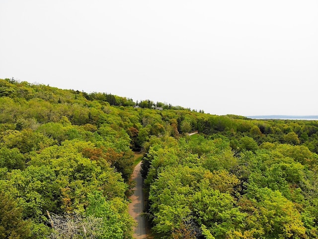 5945 Lodgepole Rd, Harbor Springs, MI 49740