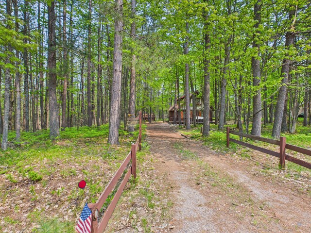 10985 Sanctuary Dr, Frederic, MI 49733 - photo 19