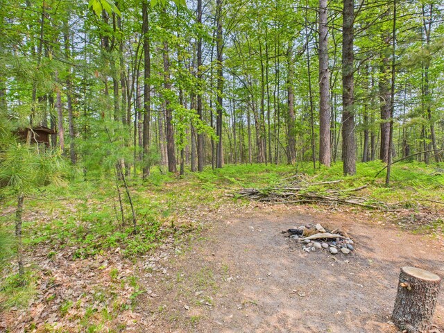 10985 Sanctuary Dr, Frederic, MI 49733 - photo 18