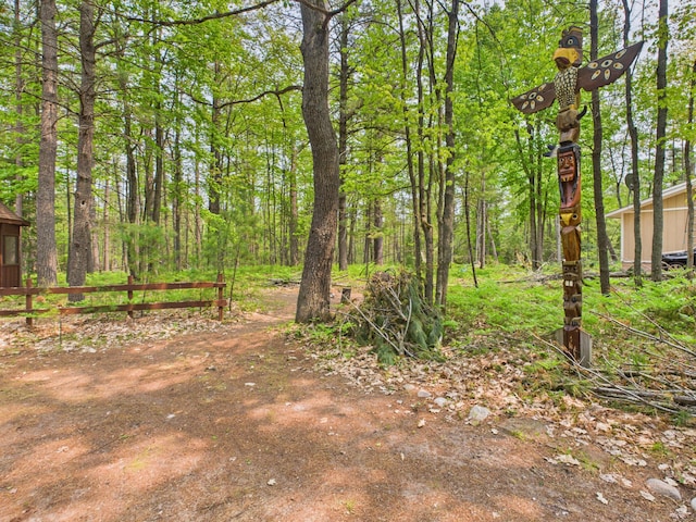10985 Sanctuary Dr, Frederic, MI 49733 - photo 17