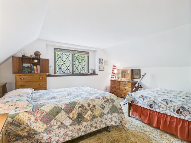 10985 Sanctuary Dr, Frederic, MI 49733 - photo 9