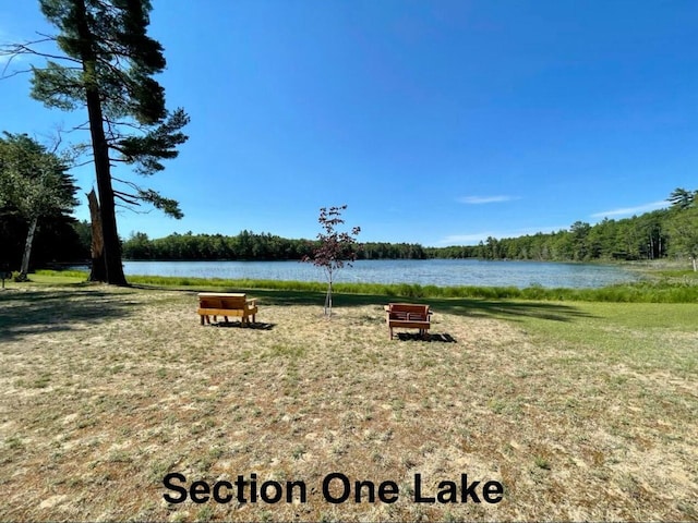 10985 Sanctuary Dr, Frederic, MI 49733 - photo 22