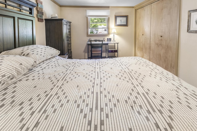 217 Cherry St, Houghton Lake, MI 48629 - bedroom with ornamental molding and a closet