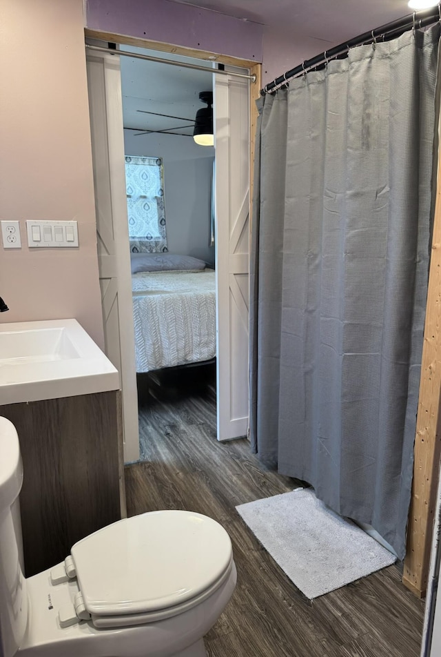 3134 Kneeland St, Lewiston, MI 49756 - full bathroom featuring wood finished floors, toilet, connected bathroom, vanity, and a shower with shower curtain