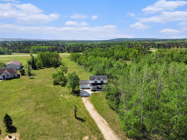 10702 Southwood Dr, Mancelona, MI 49659 - view of subject property featuring a heavily wooded area
